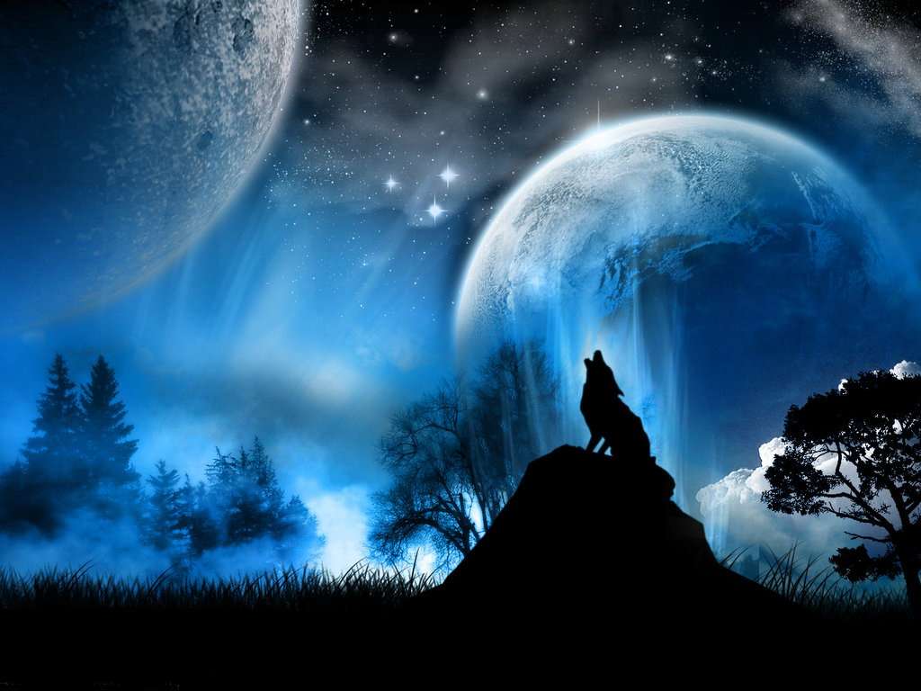 wolf_howling_at_moon.jpg